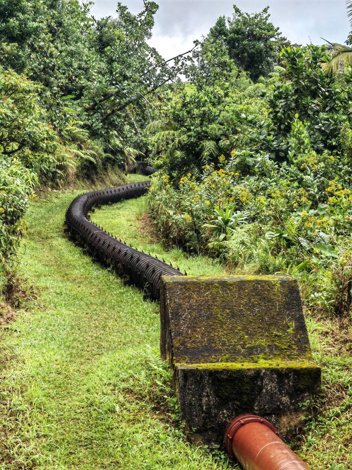Герметизация и палуба