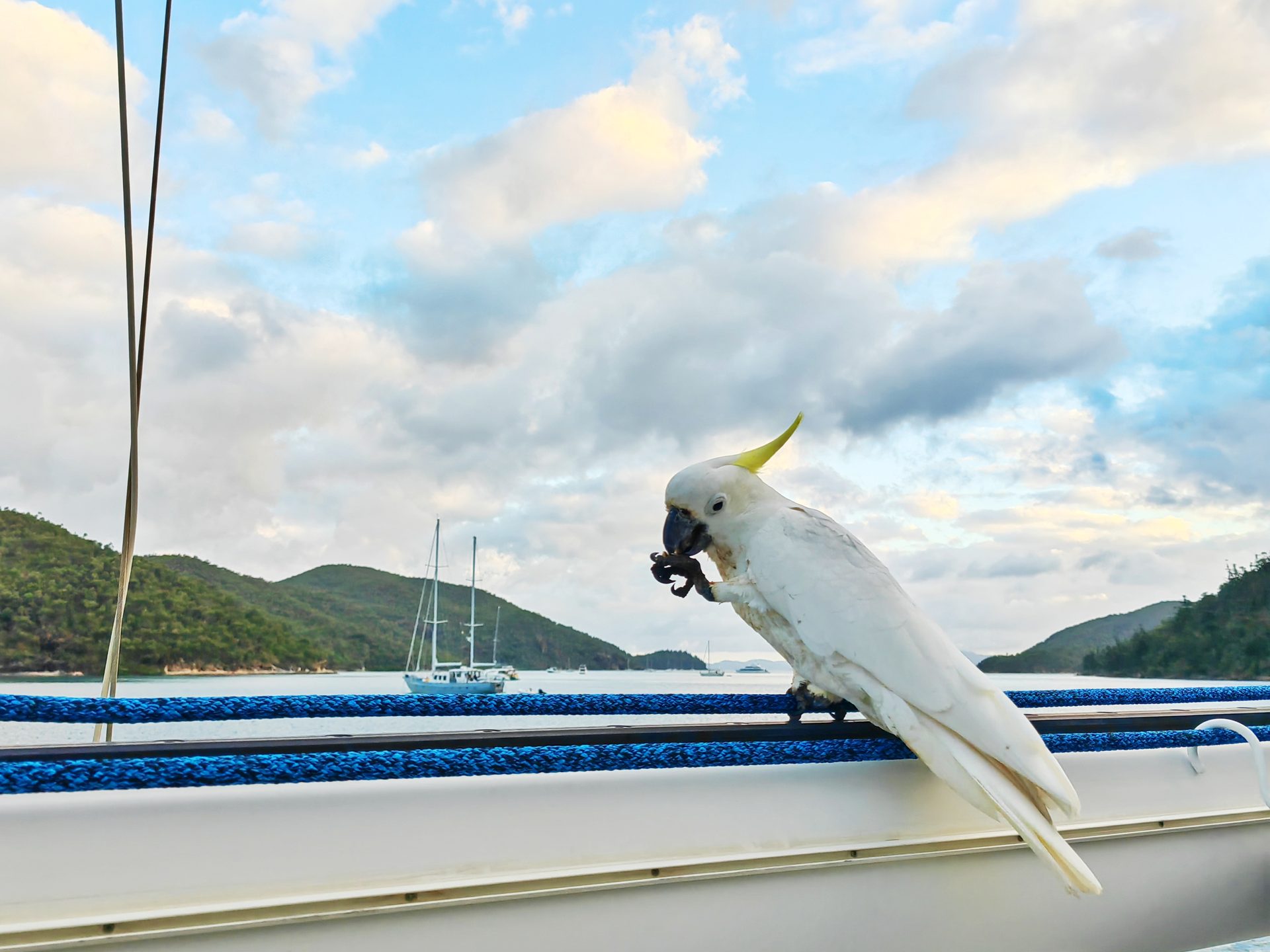 Австралия 2023 — фото 4