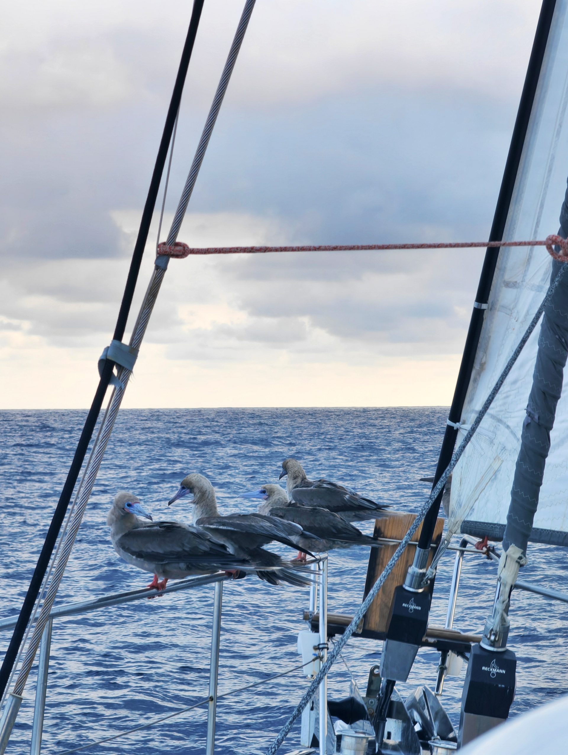 Галапагосы 2024 — фото 1