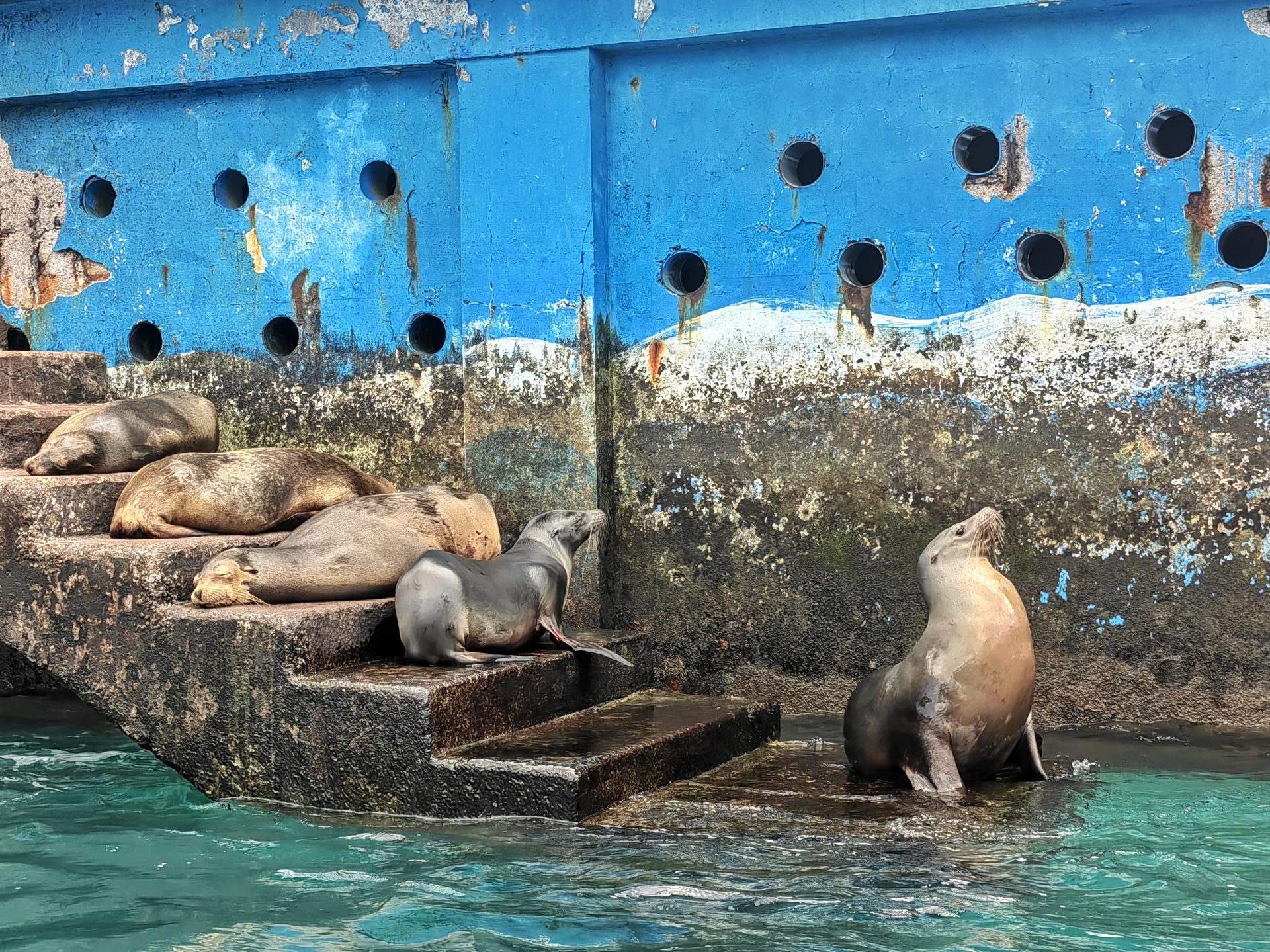 Галапагосы 2024 — фото 5