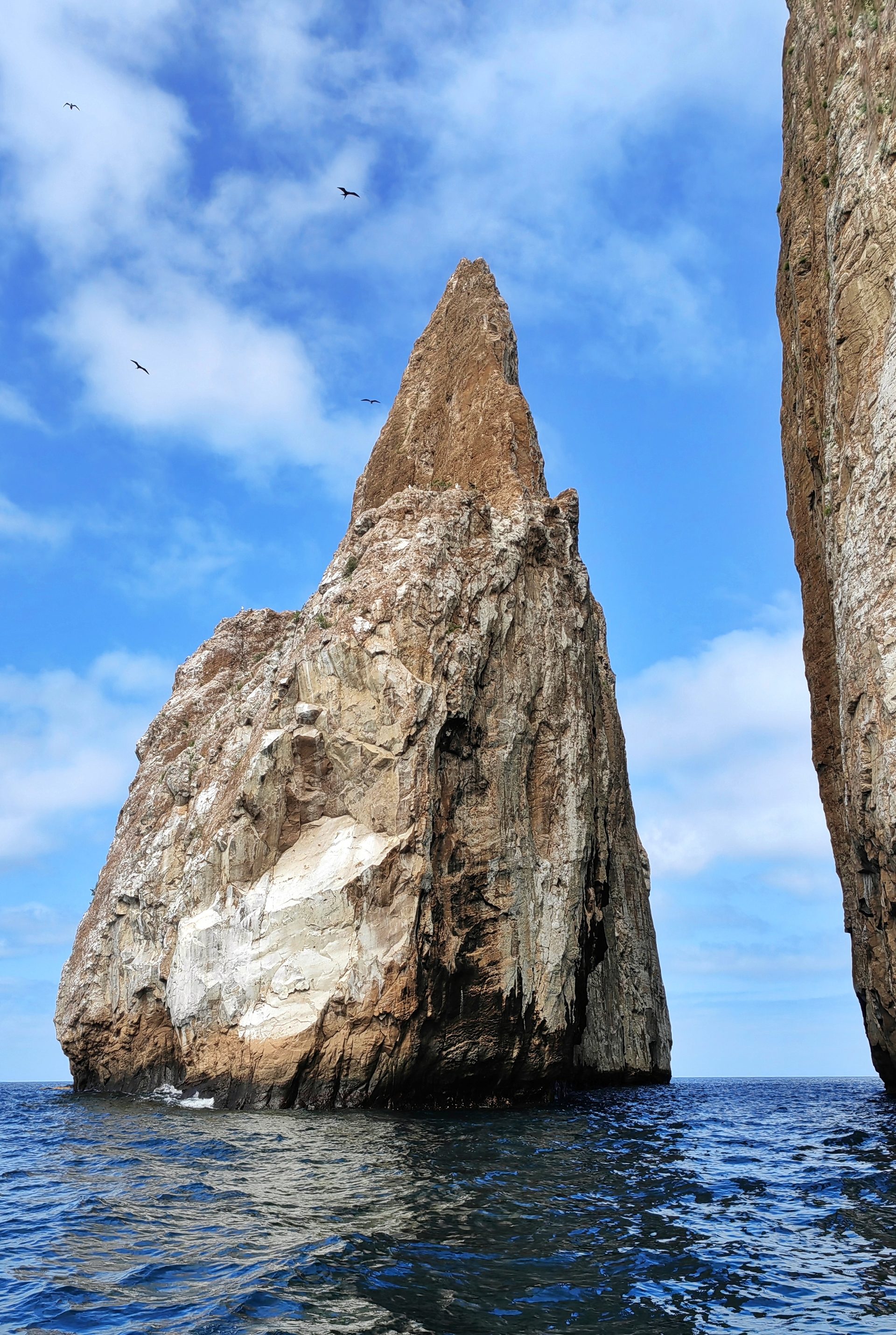 Галапагосы 2024 — фото 4