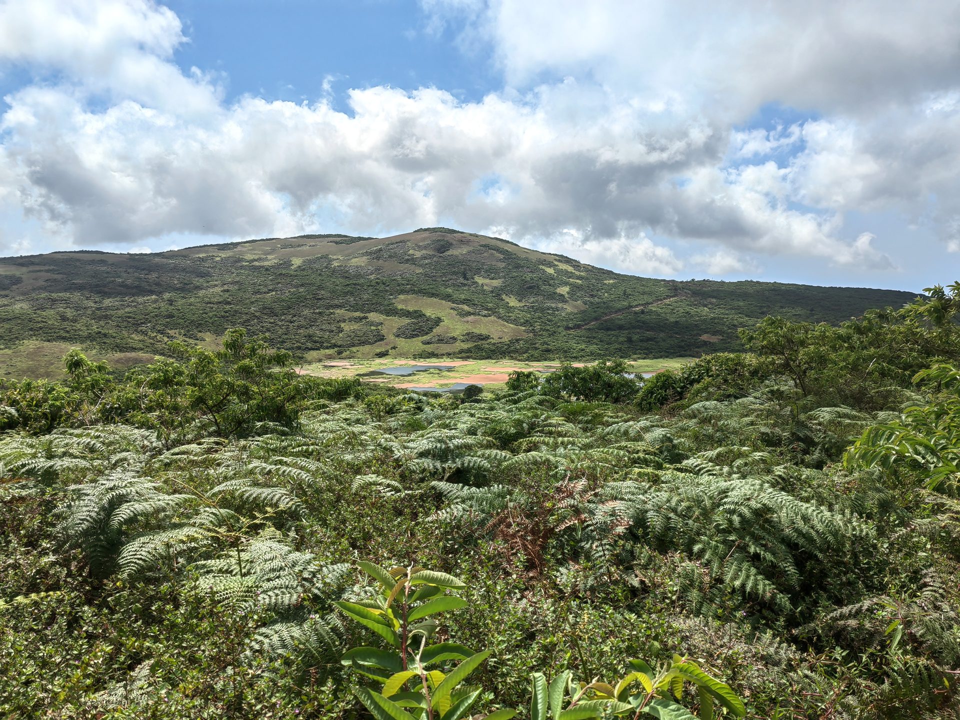 Галапагосы 2024 — фото 8