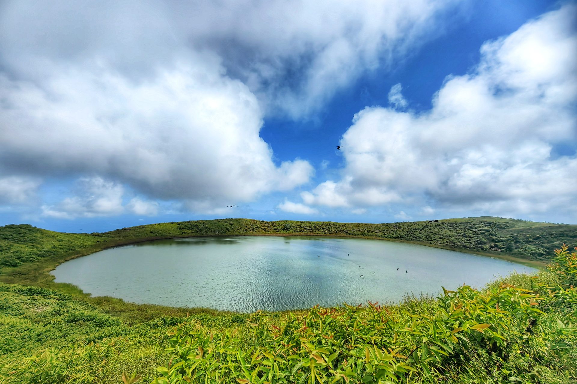 Галапагосы 2024 — фото 9