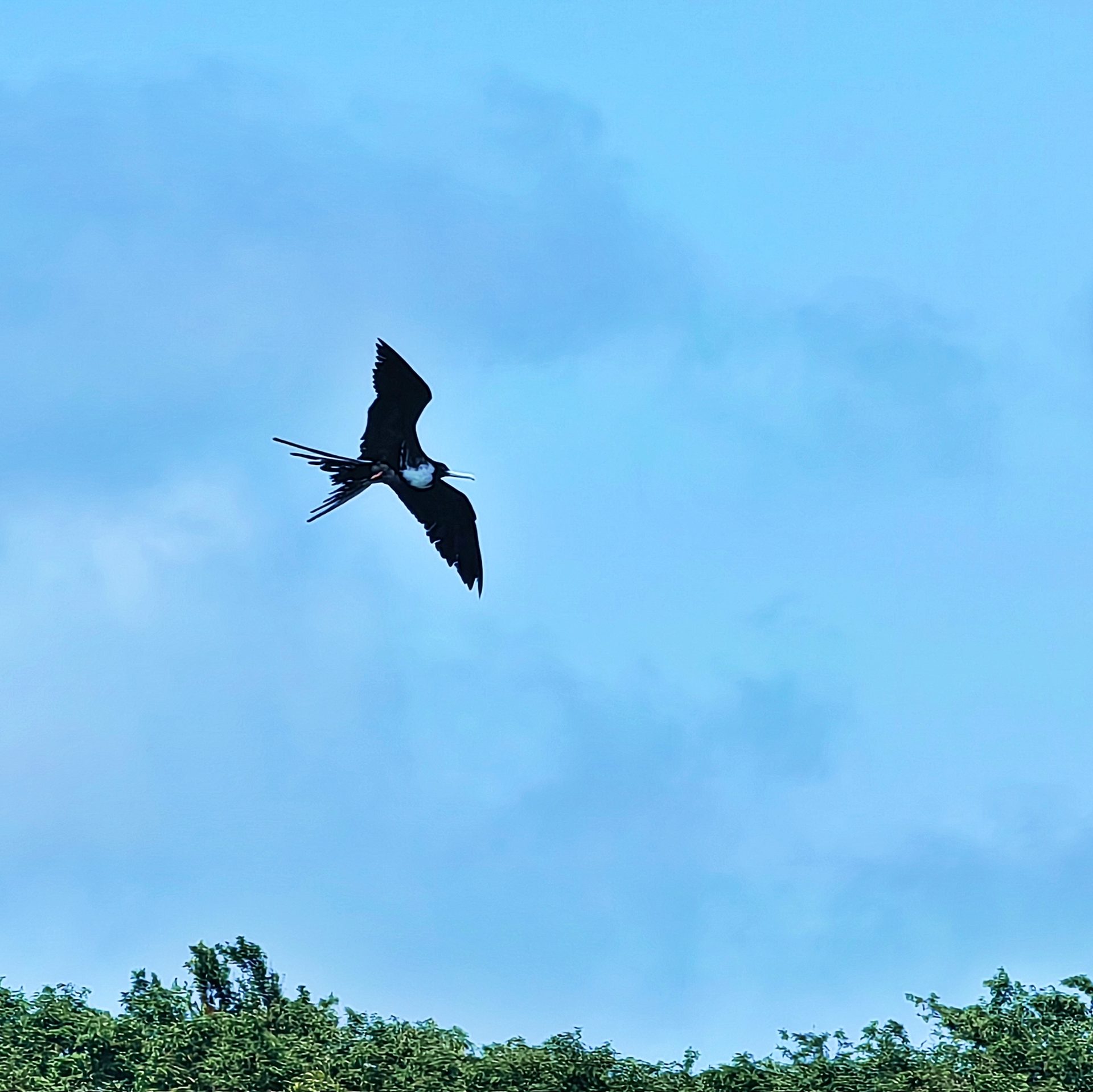 Галапагосы 2024 — фото 11