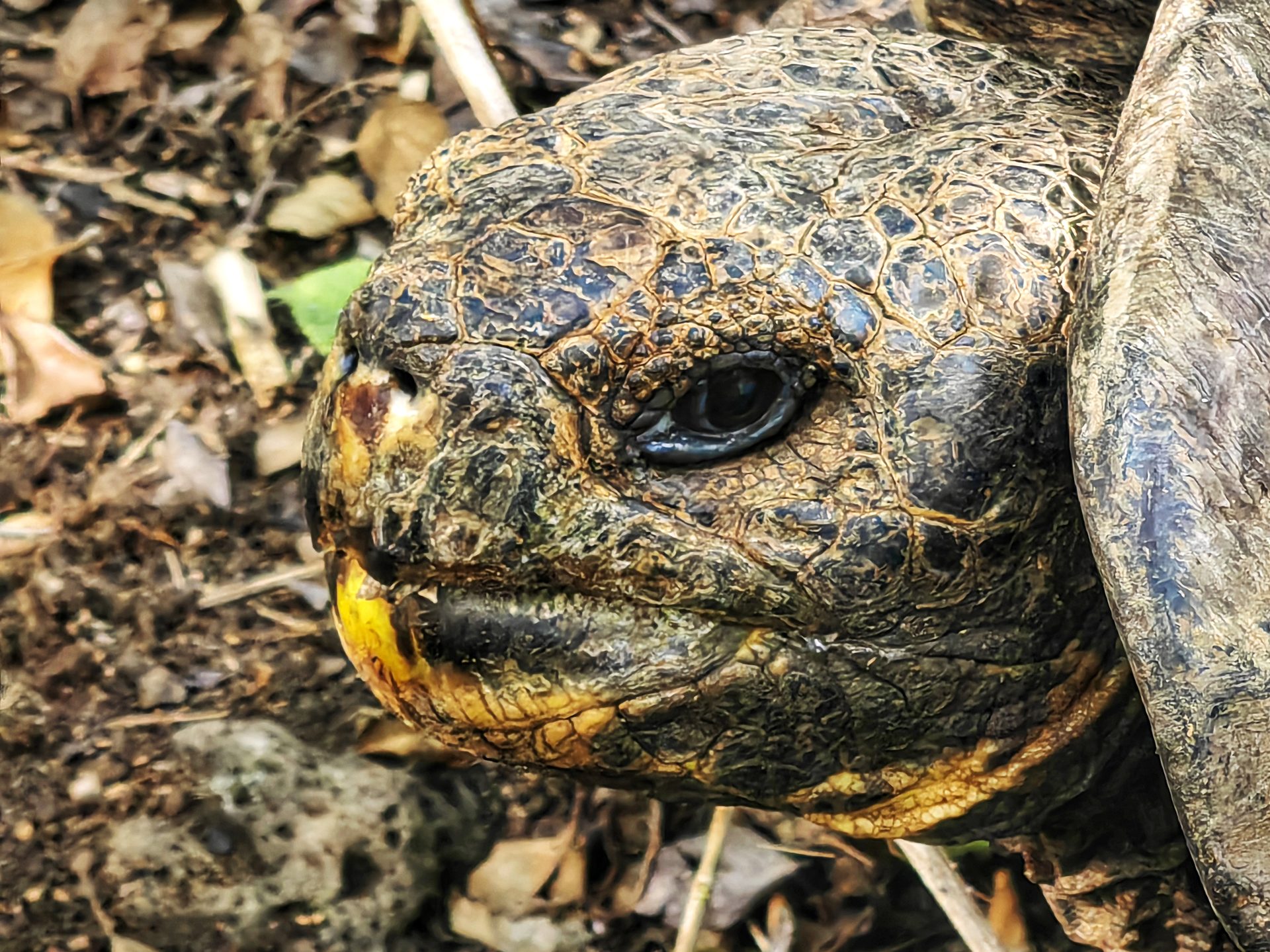 Галапагосы 2024 — фото 10