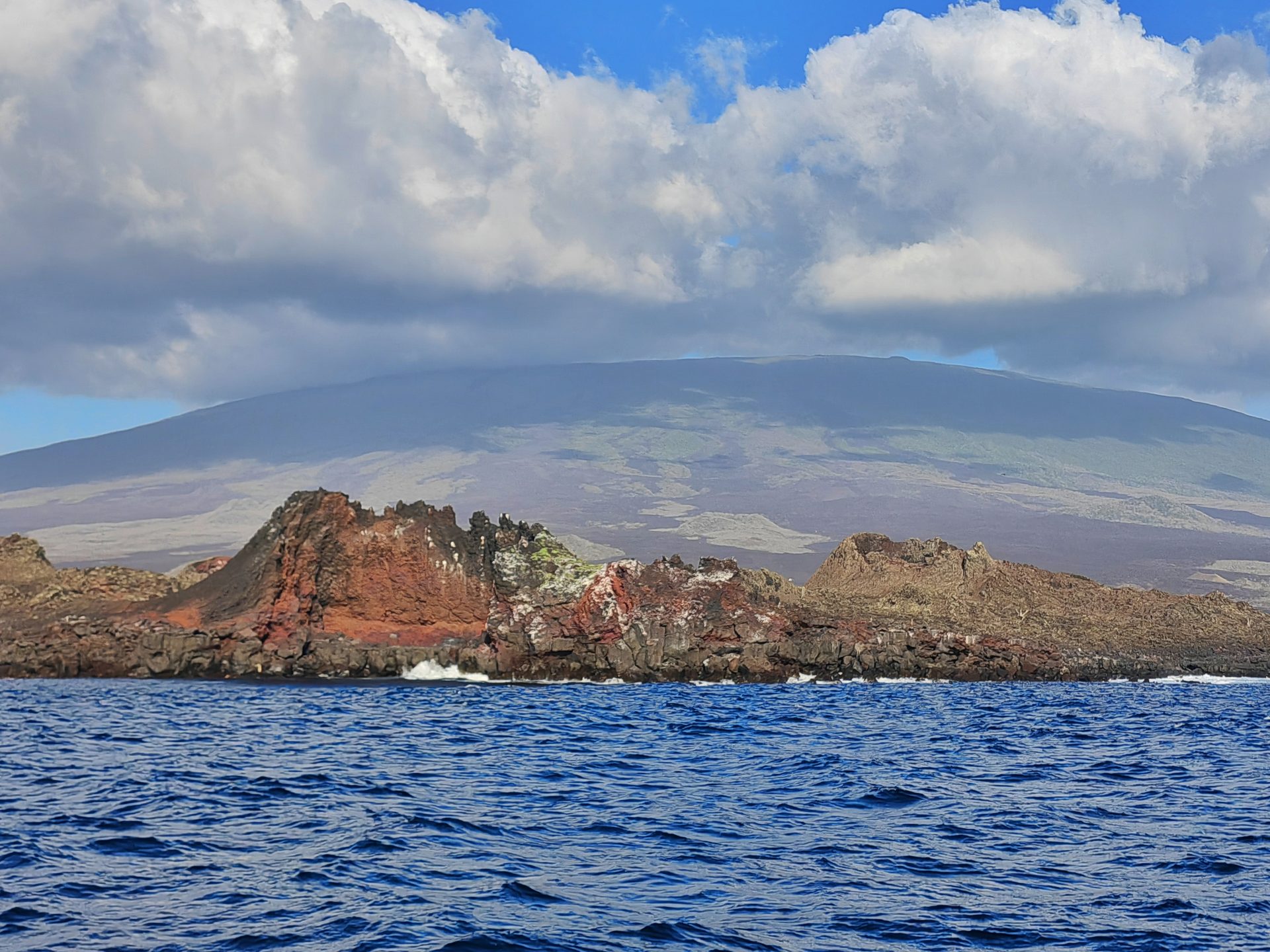 Галапагосы 2024 — фото 14