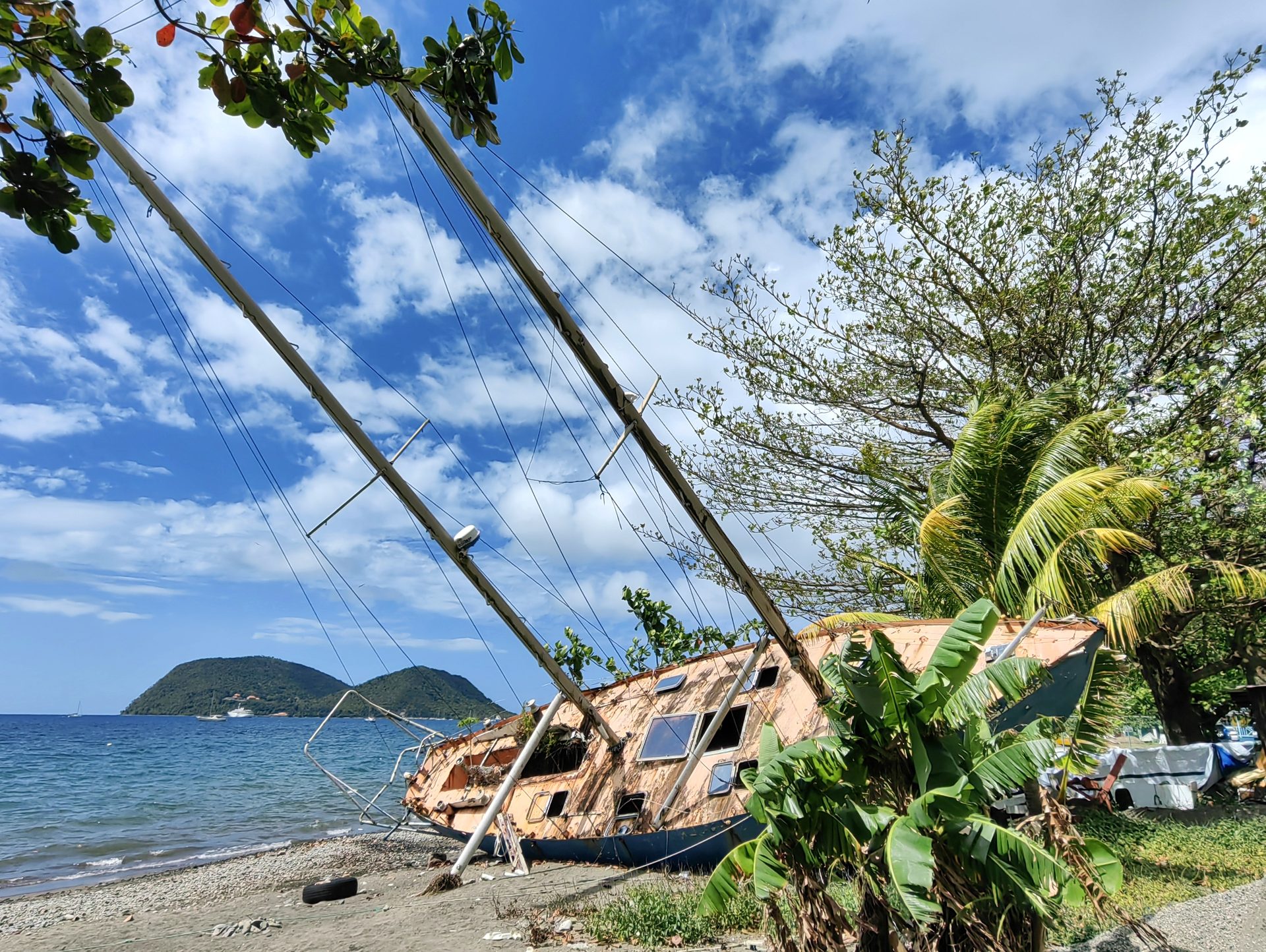 Доминика 2024 — фото 1