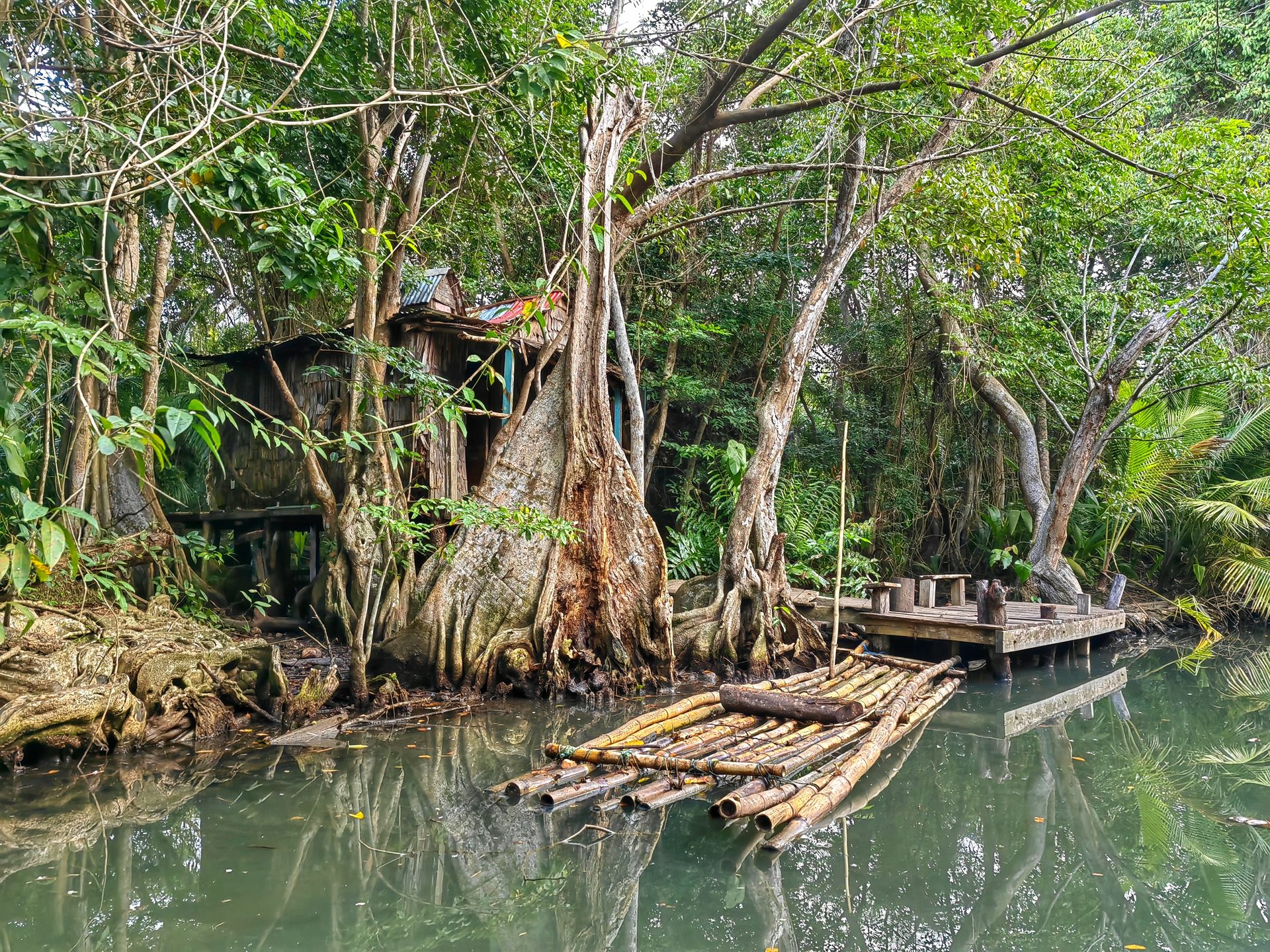 Доминика 2024 — фото 5