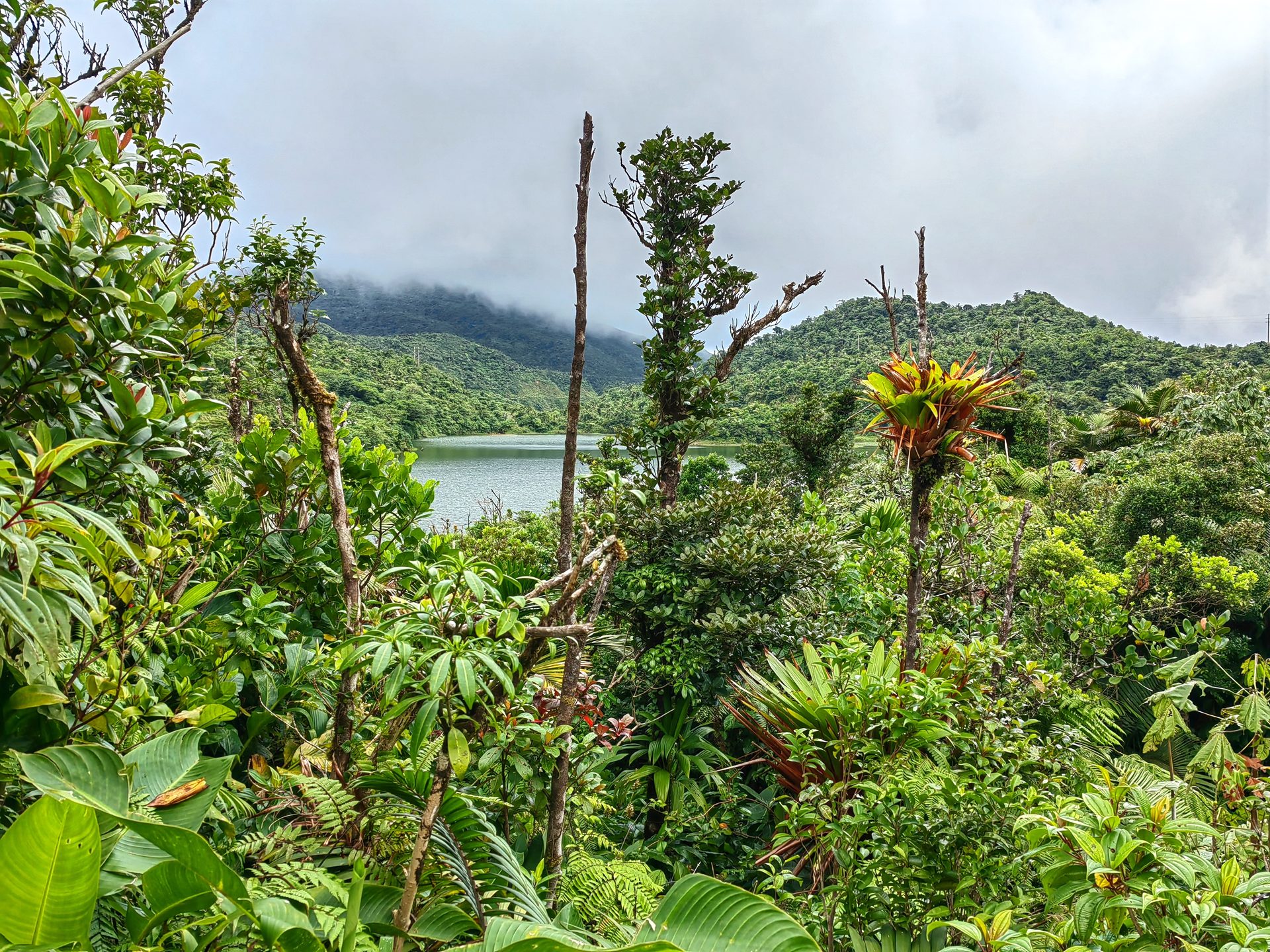 Доминика 2024 — фото 7