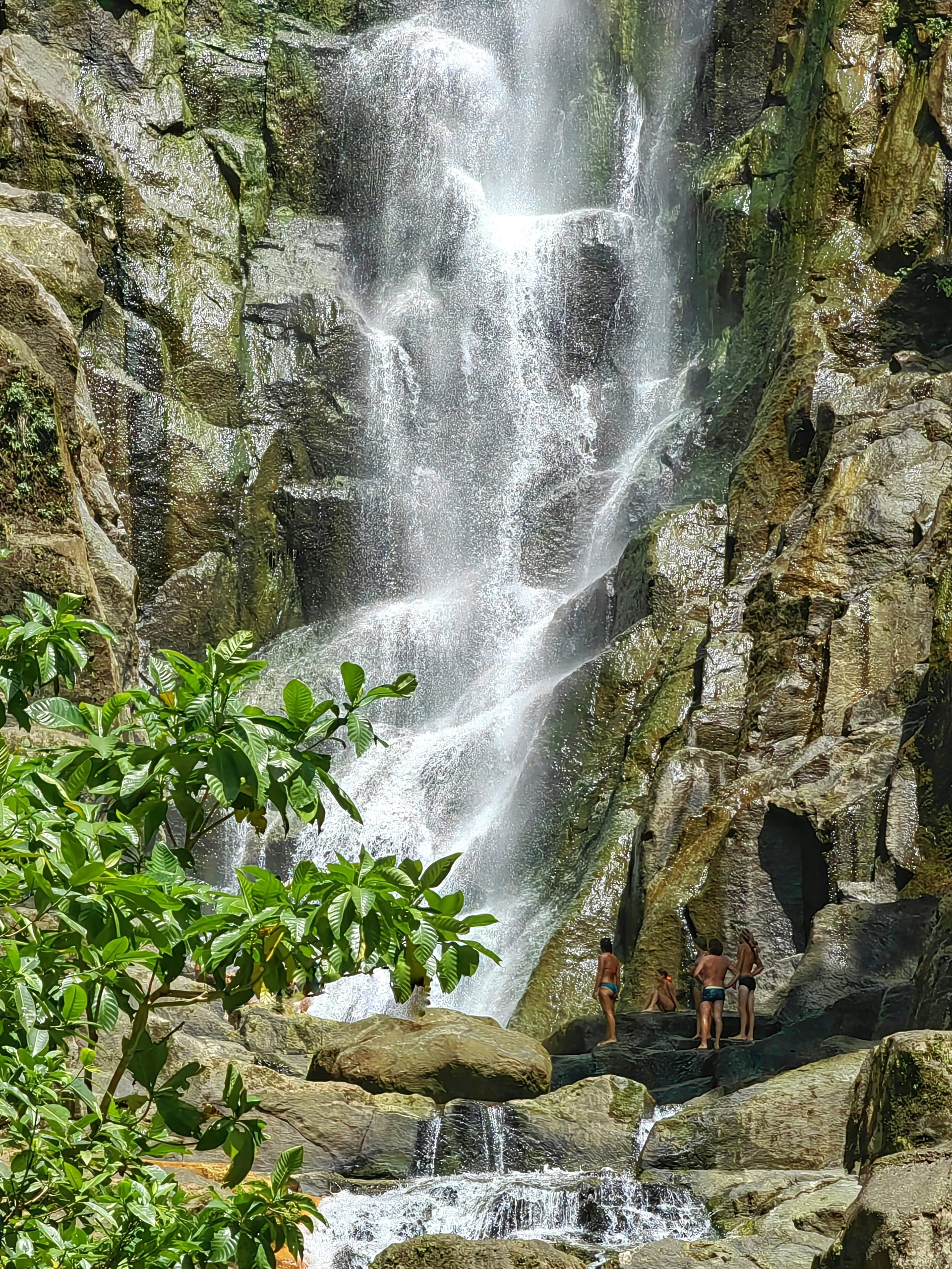 Доминика 2024 — фото 8