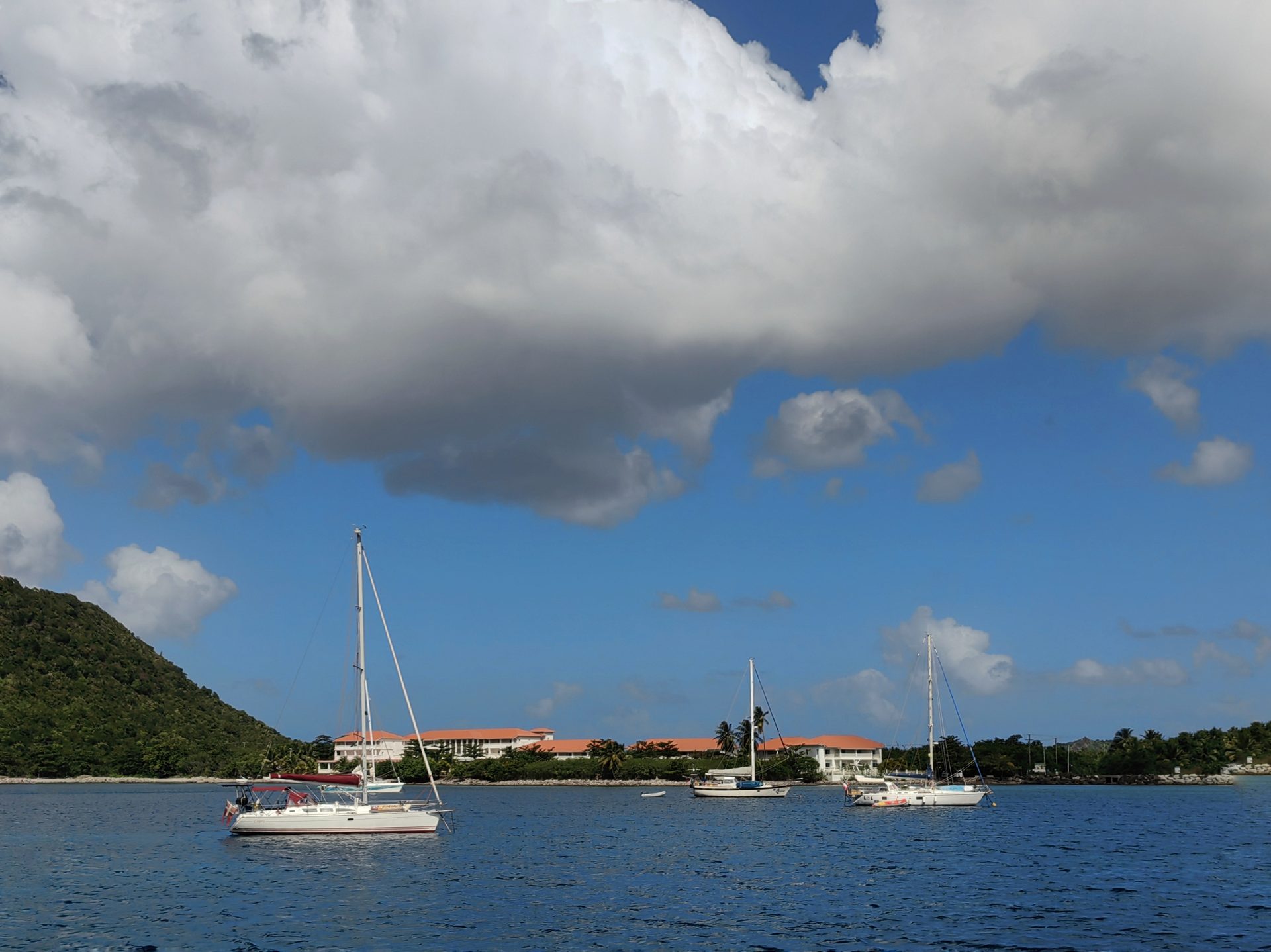 Доминика 2024 — фото 2