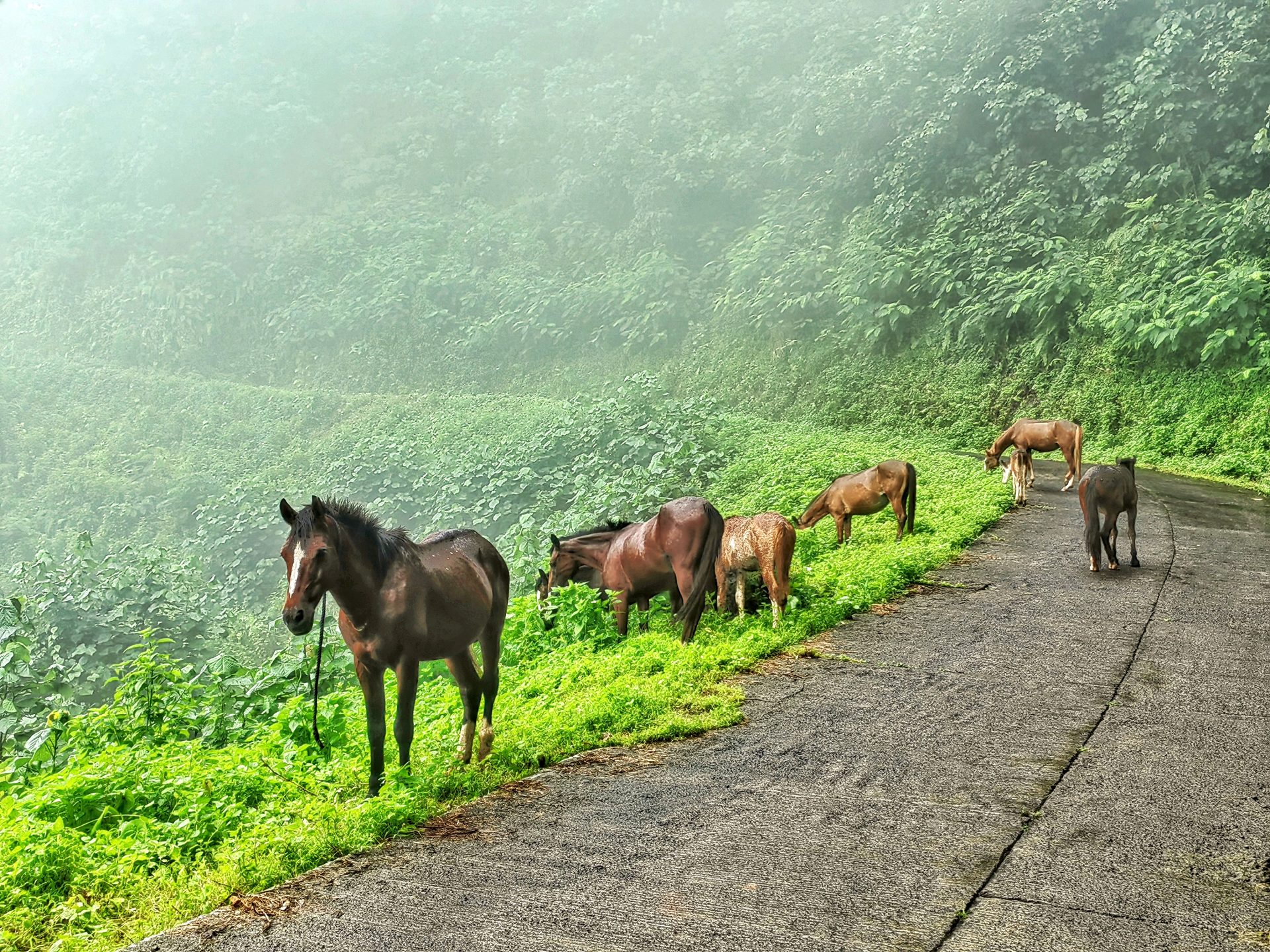 Маркизы (Маркизские острова) и Рангироа 2024 — фото 15