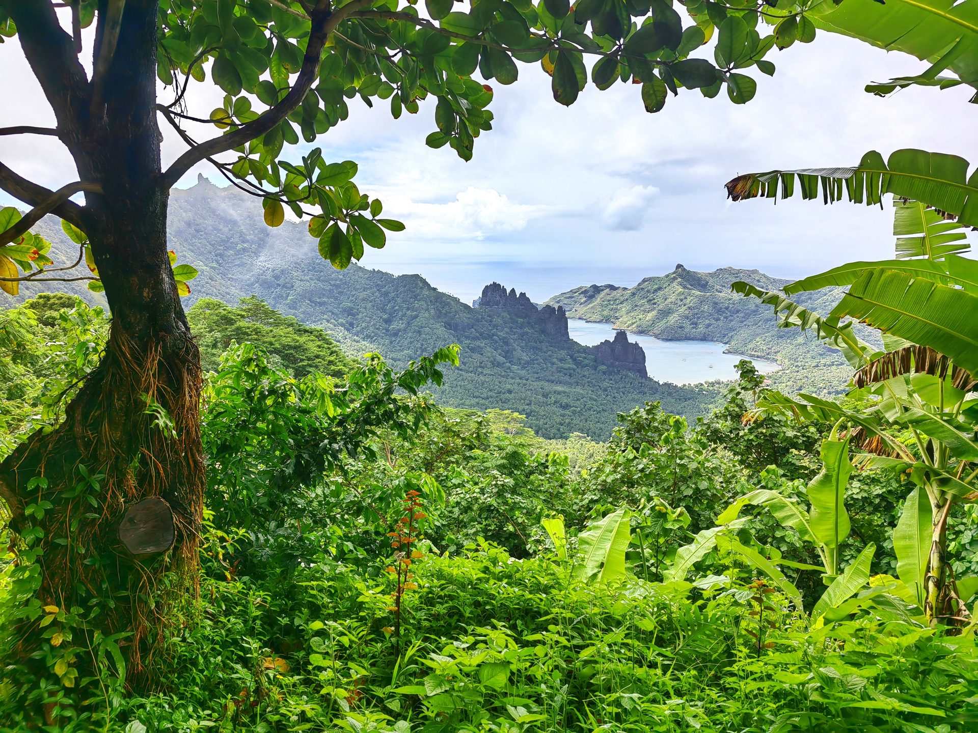 Маркизы (Маркизские острова) и Рангироа 2024 — фото 16