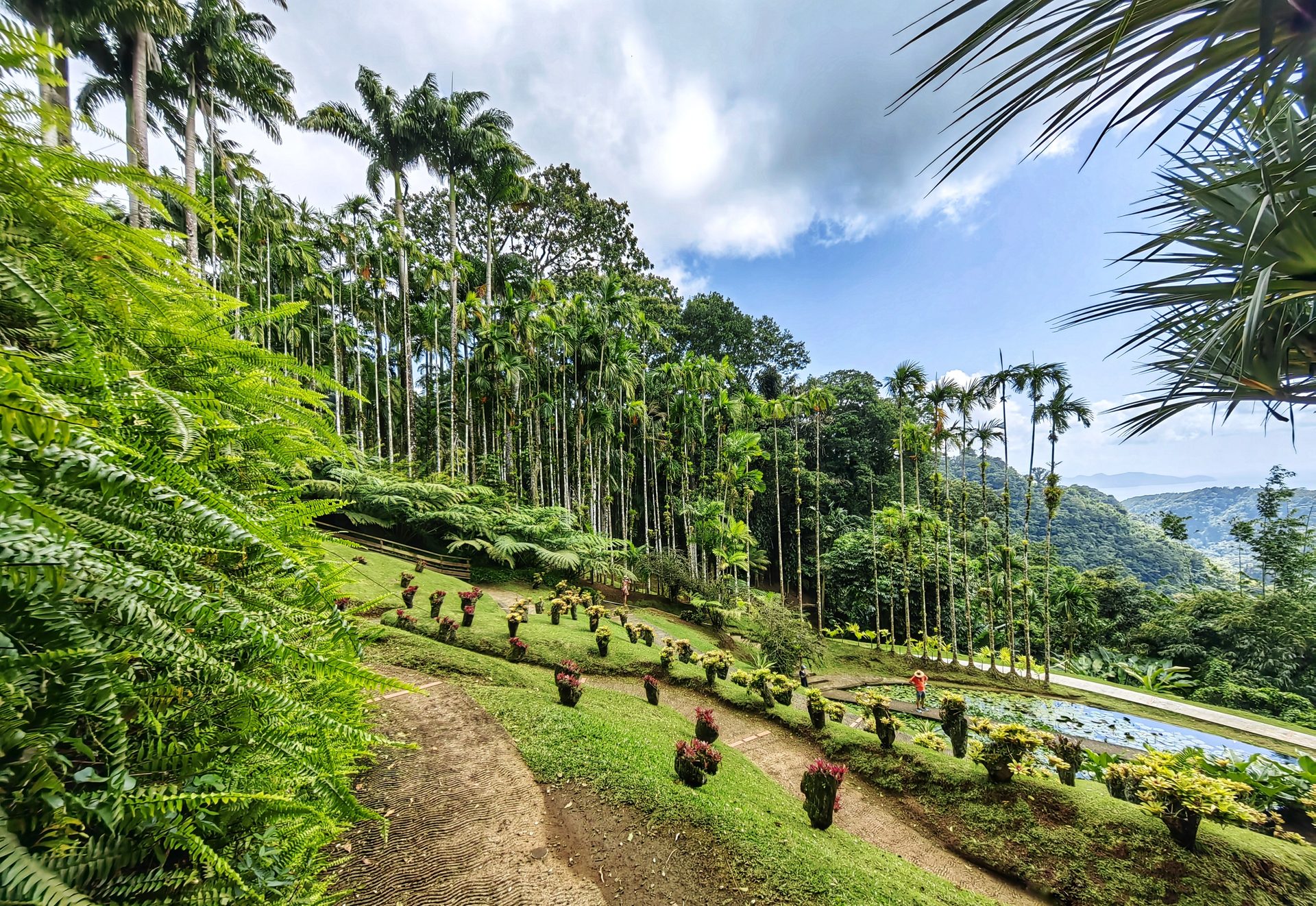 Мартиника — тропический финиш трансатлантики