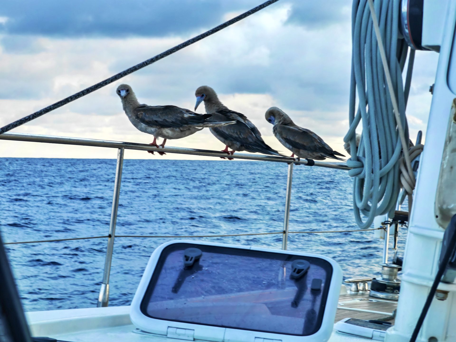 Сен-Мартен — точка старта