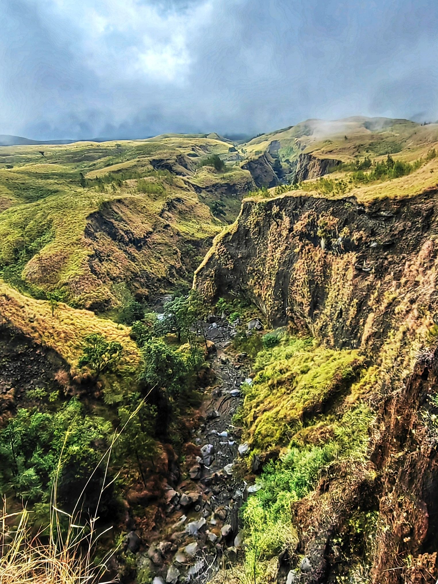 Сан-Мигел — «Зелёный остров»