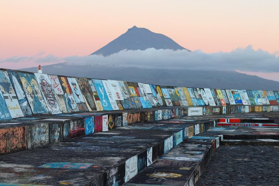 Пику — рекордсмен Книги Гиннесса